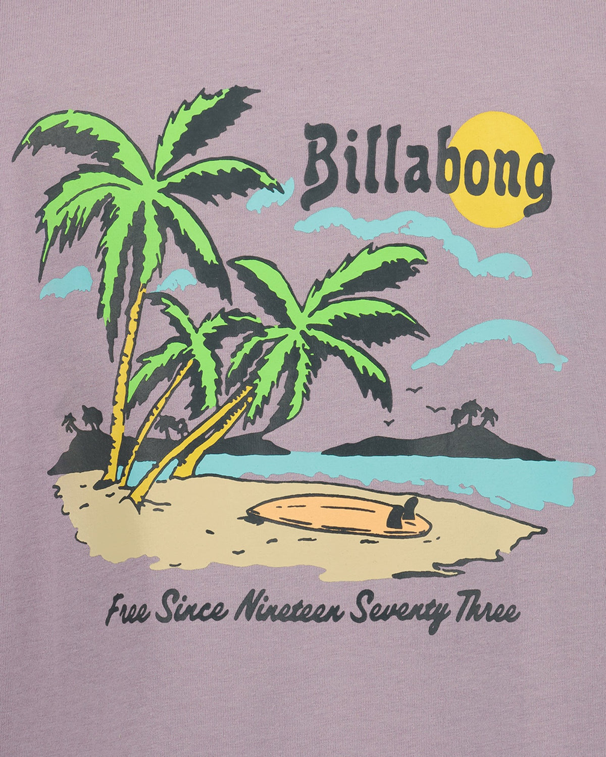 Billabong Women's Boys Loner Short Sleeve T-Shirt