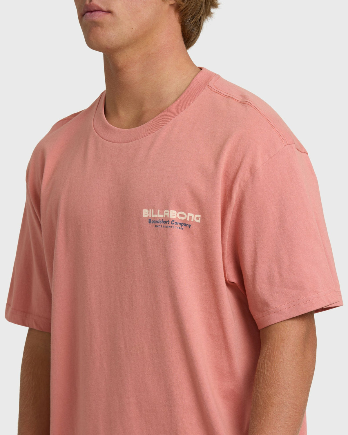 Billabong Men's Tailgating Premium Short Sleeve T-Shirt - Ash Rose