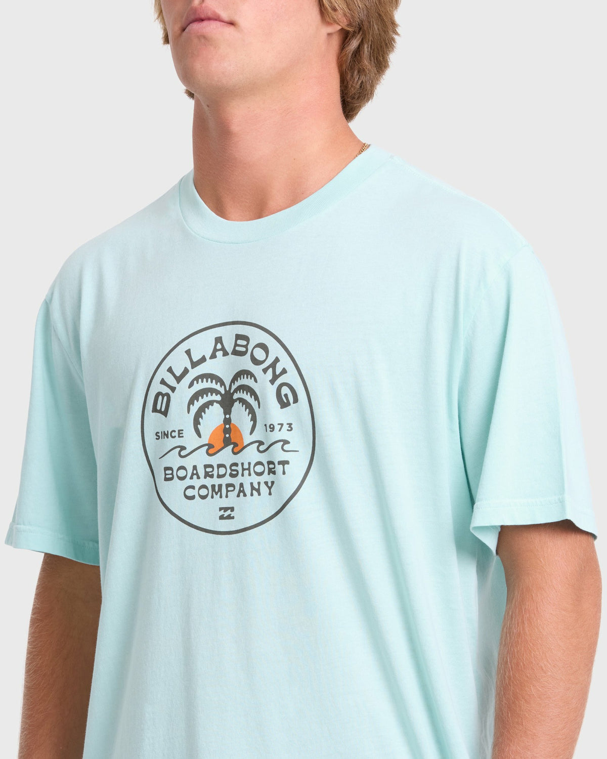 Billabong Men's Frond Premium Short Sleeve Cotton T-Shirt - Coastal Blue