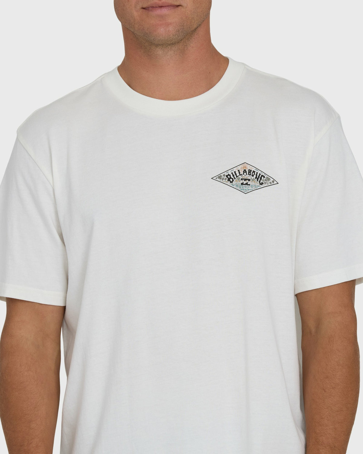 Billabong Men's A\/Div Arch Premium Short Sleeve Knit T-Shirt - Off White