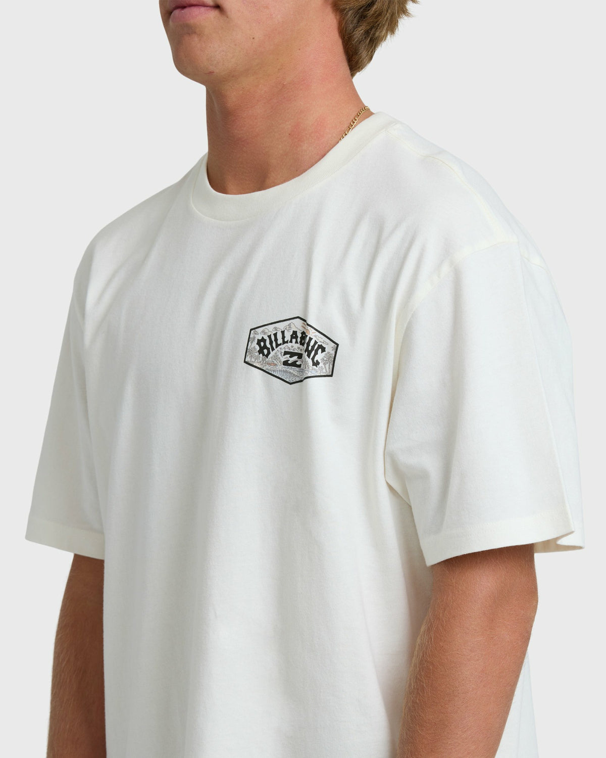 Billabong Men's Scenic Arch Adiv Premium Short Sleeve T-Shirt - Off White