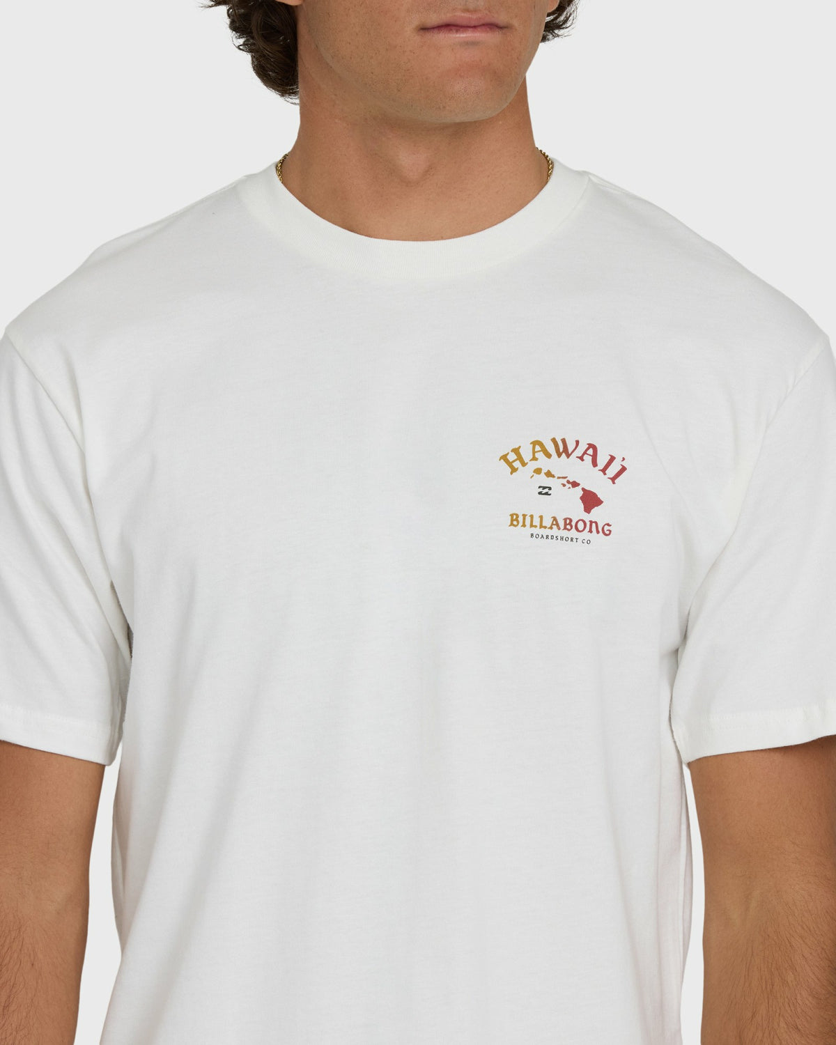 Billabong Men's Island Chain Hawaii Regular Short Sleeve Tee - Off White