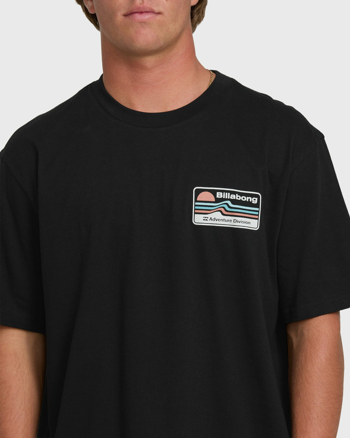 Billabong Men's A\/Div Range Premium Short Sleeve T-Shirt - Black