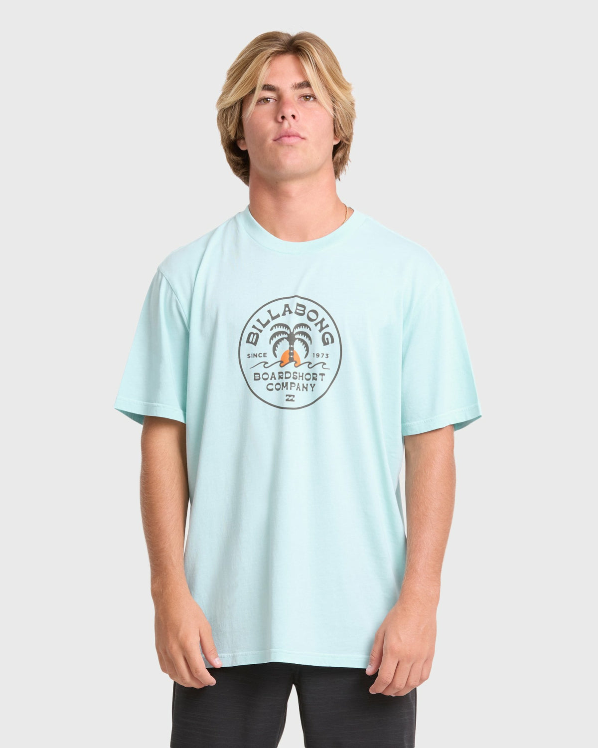 Billabong Men's Frond Premium Short Sleeve Cotton T-Shirt - Coastal Blue
