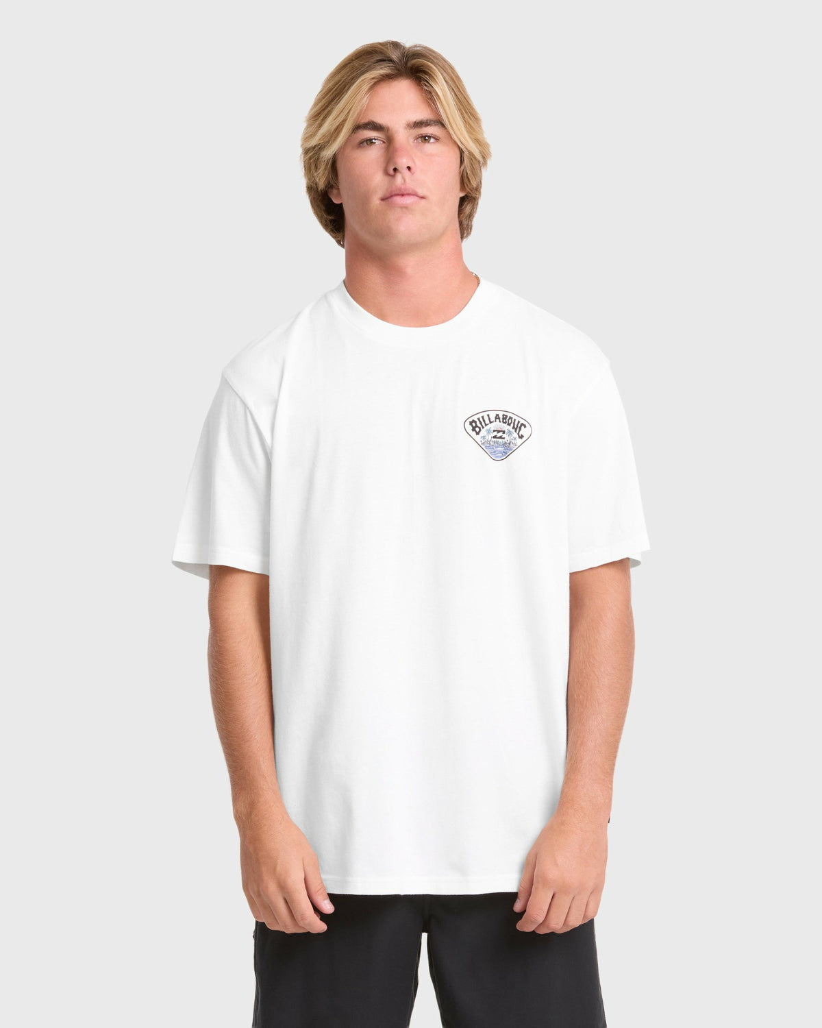Billabong Men's Scenic Arch Adventure Division Premium Short Sleeve Knit T-Shirt - Off White
