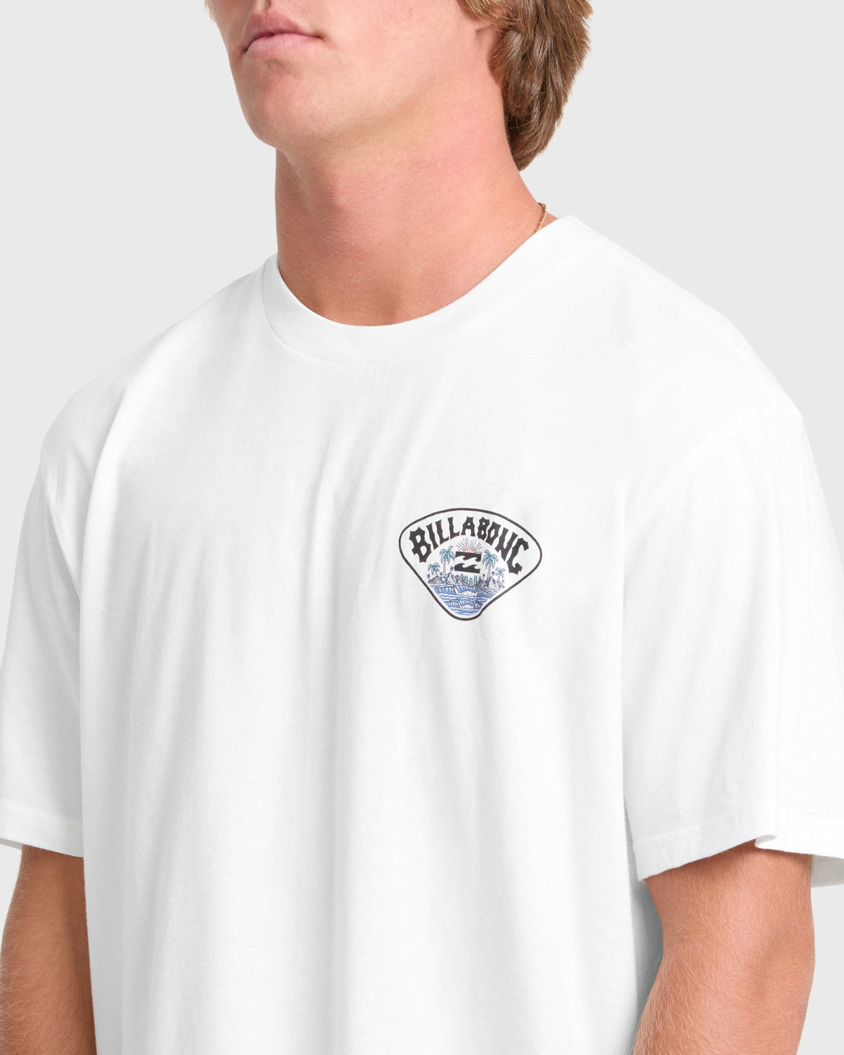 Billabong Men's Scenic Arch Adventure Division Premium Short Sleeve Knit T-Shirt - Off White