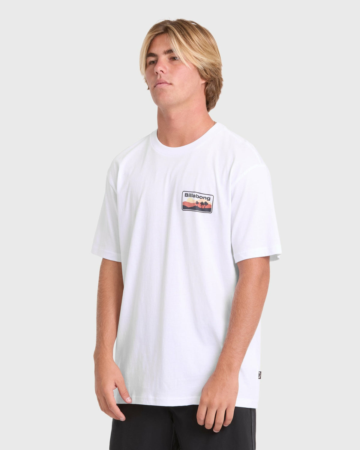 Billabong Men's Adventure Division Range Premium Short Sleeve Knit T-Shirt - White