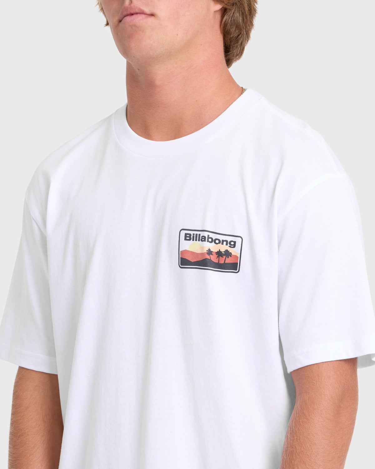 Billabong Men's Adventure Division Range Premium Short Sleeve Knit T-Shirt - White