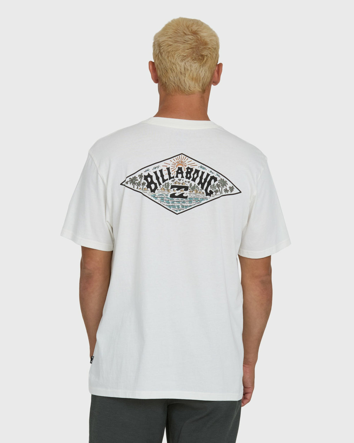 Billabong Men's A\/Div Arch Premium Short Sleeve Knit T-Shirt - Off White