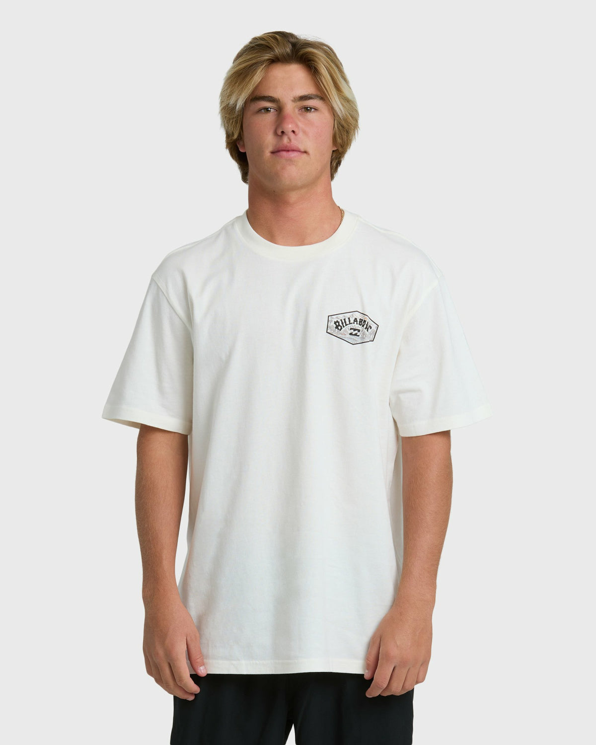Billabong Men's Scenic Arch Adiv Premium Short Sleeve T-Shirt - Off White