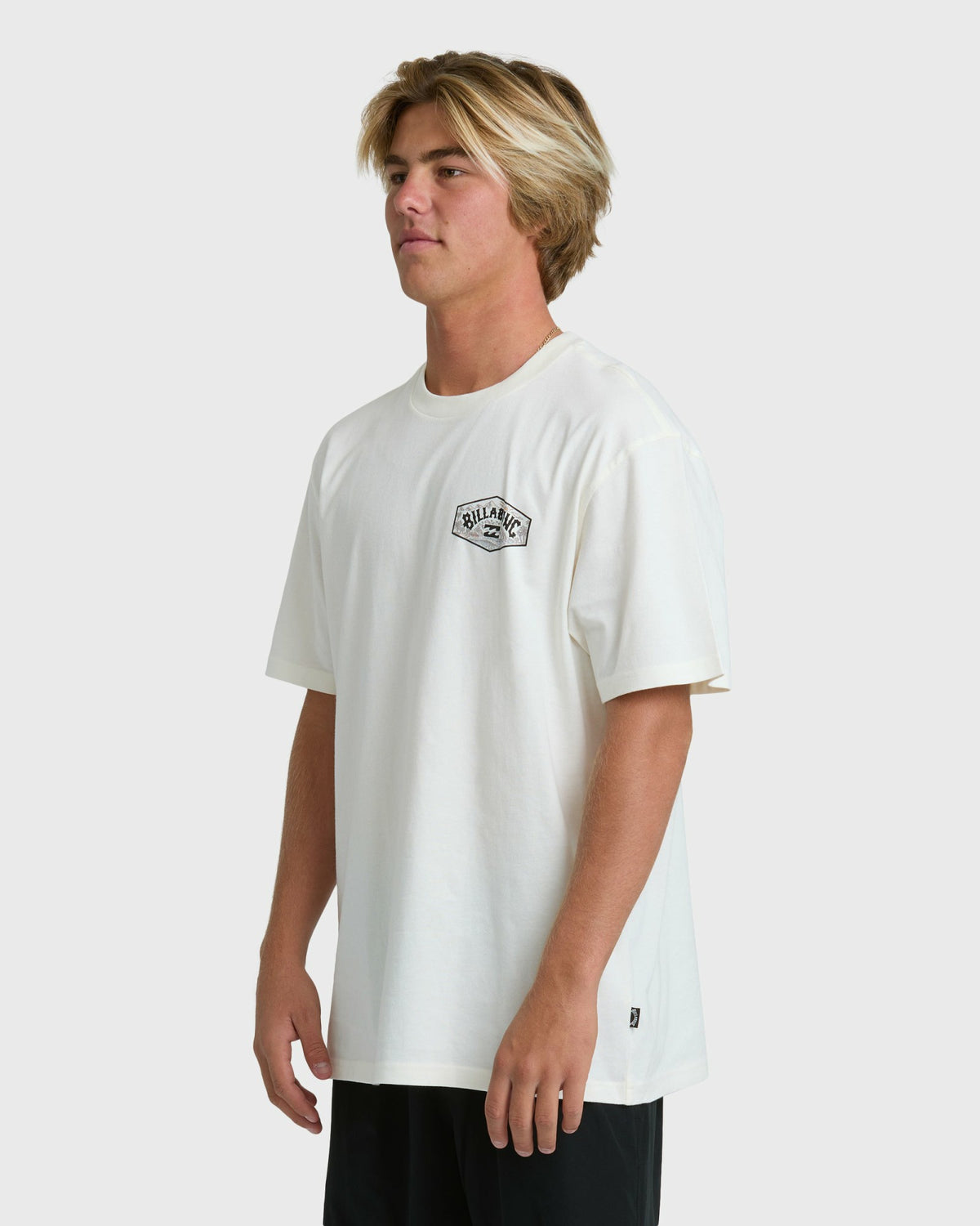 Billabong Men's Scenic Arch Adiv Premium Short Sleeve T-Shirt - Off White