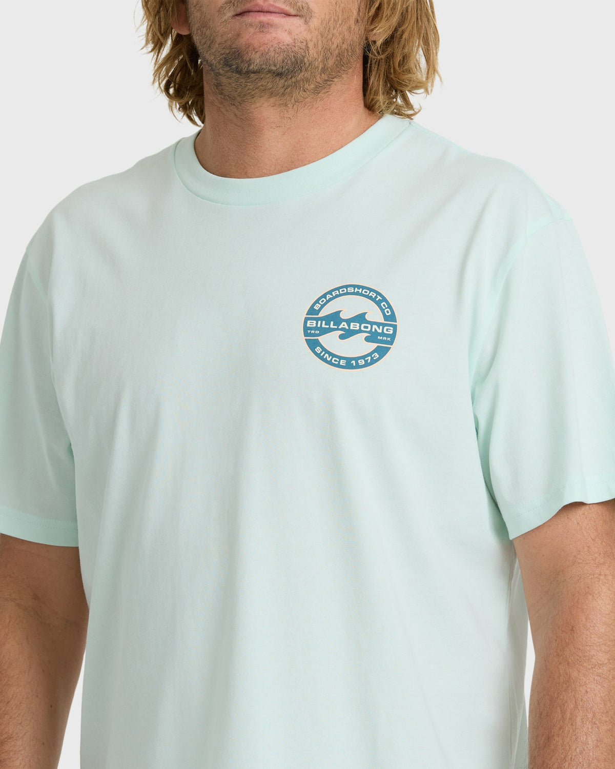 Billabong Men's Hollow Fill Premium Short Sleeve T-Shirt - Sea Glass