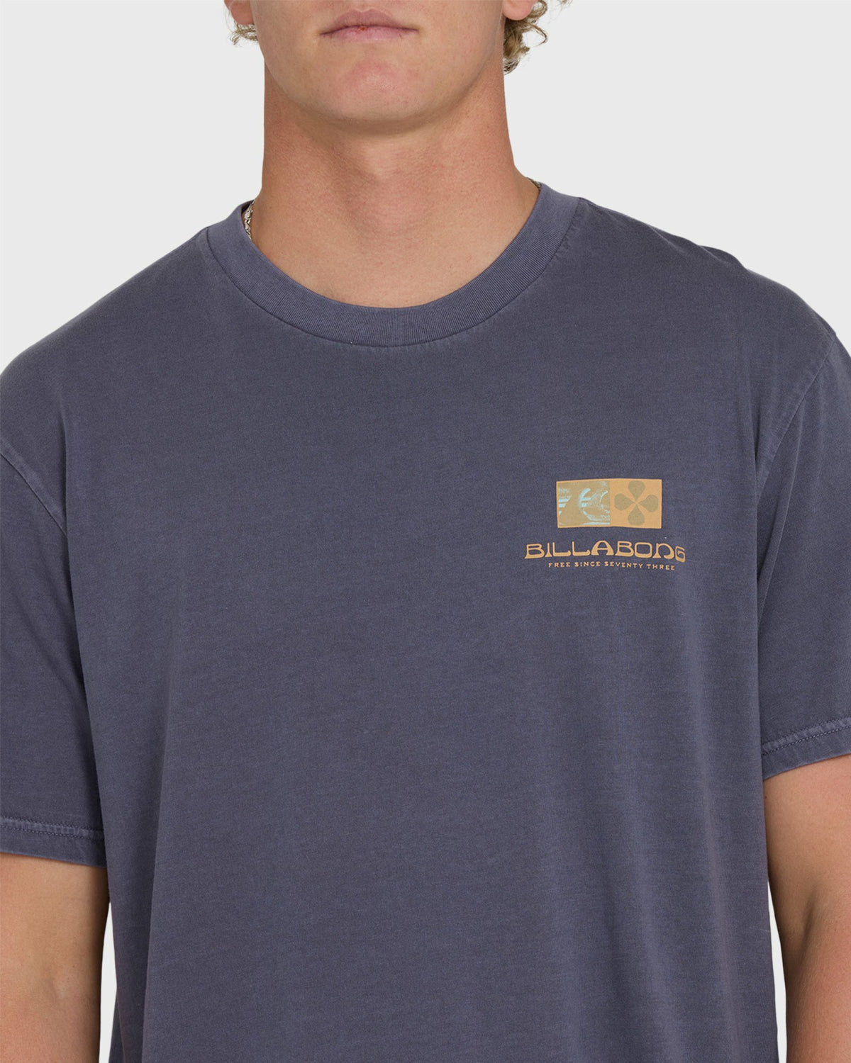 Billabong Men's Glyph Wave Washed Premium Short Sleeve Cotton T-Shirt - Greystone