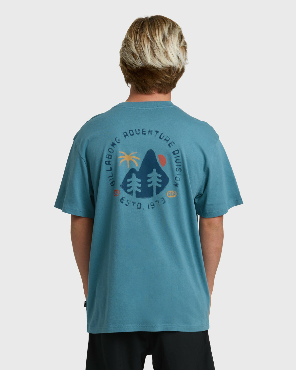 Billabong Men's Rockies Adiv Premium Short Sleeve T-Shirt - Vintage Blue