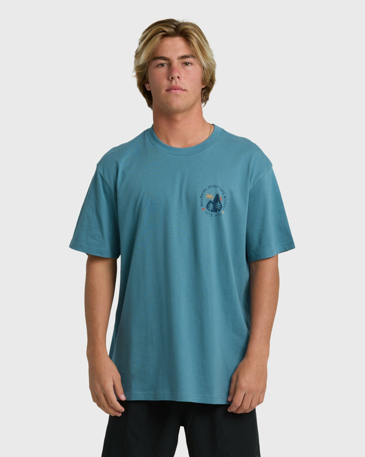 Billabong Men's Rockies Adiv Premium Short Sleeve T-Shirt - Vintage Blue