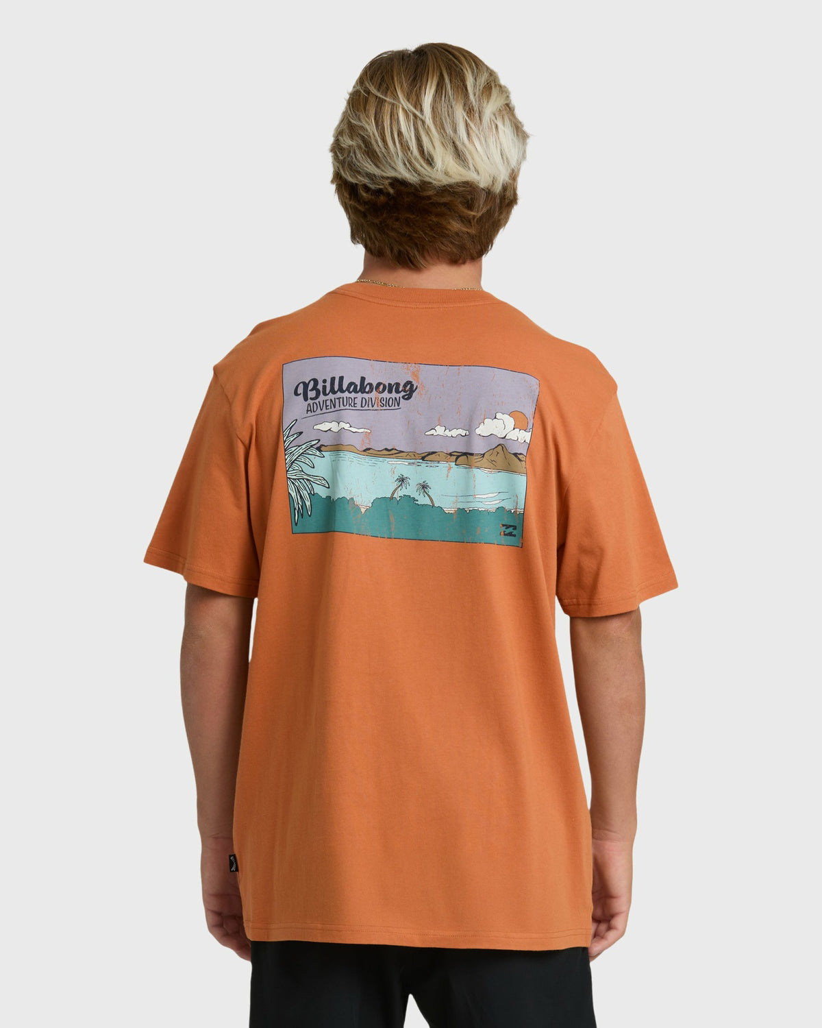 Billabong Men's Post Cards Adiv Premium Short Sleeve T-Shirt - Dusty Orange
