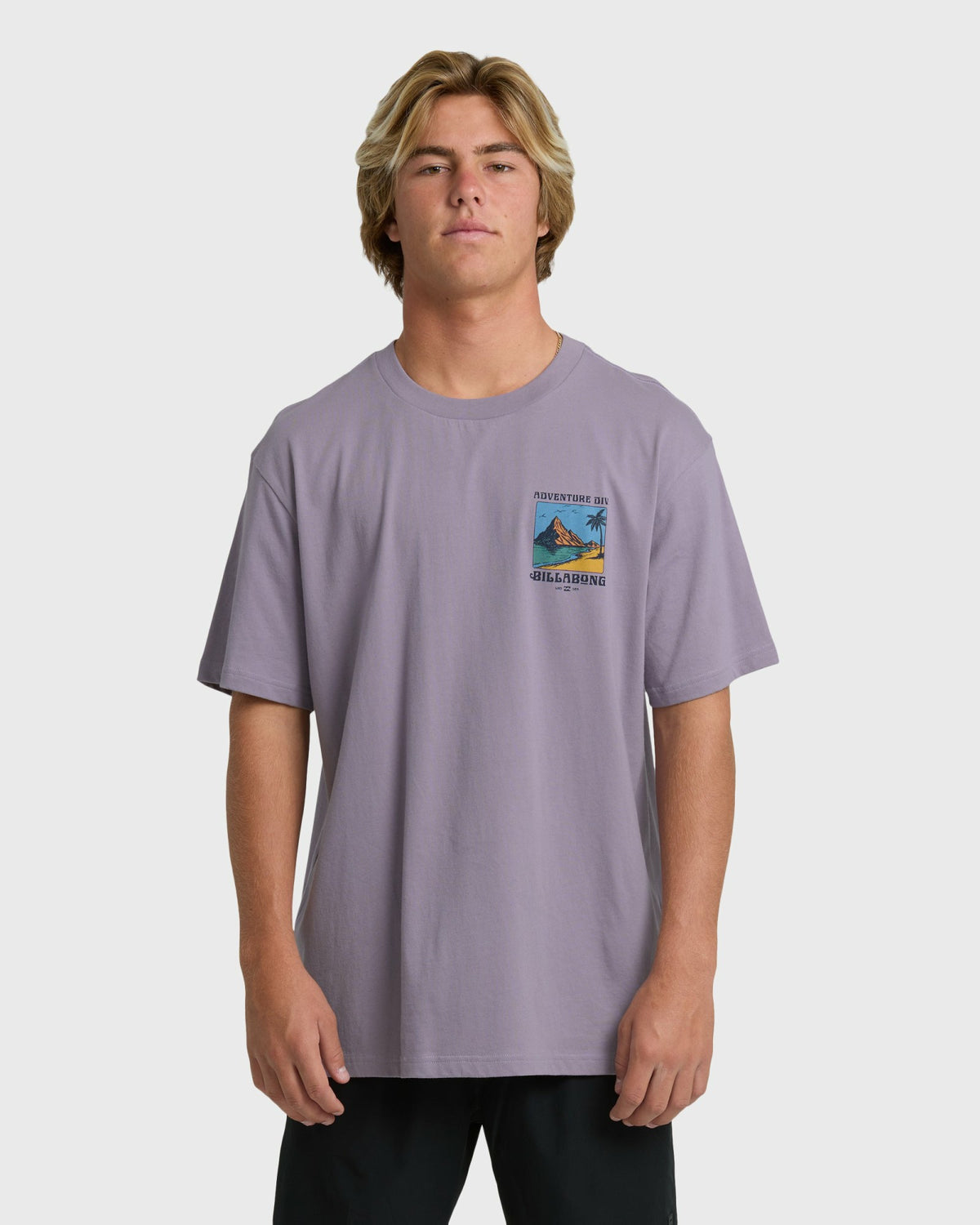 Billabong Men's Post Cards Adiv Premium Short Sleeve T-Shirt - Purple Ash