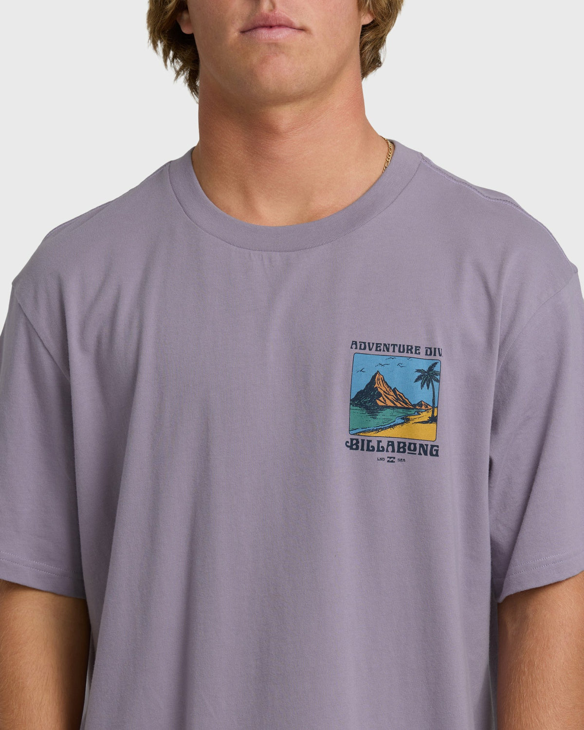 Billabong Men's Post Cards Adiv Premium Short Sleeve T-Shirt - Purple Ash