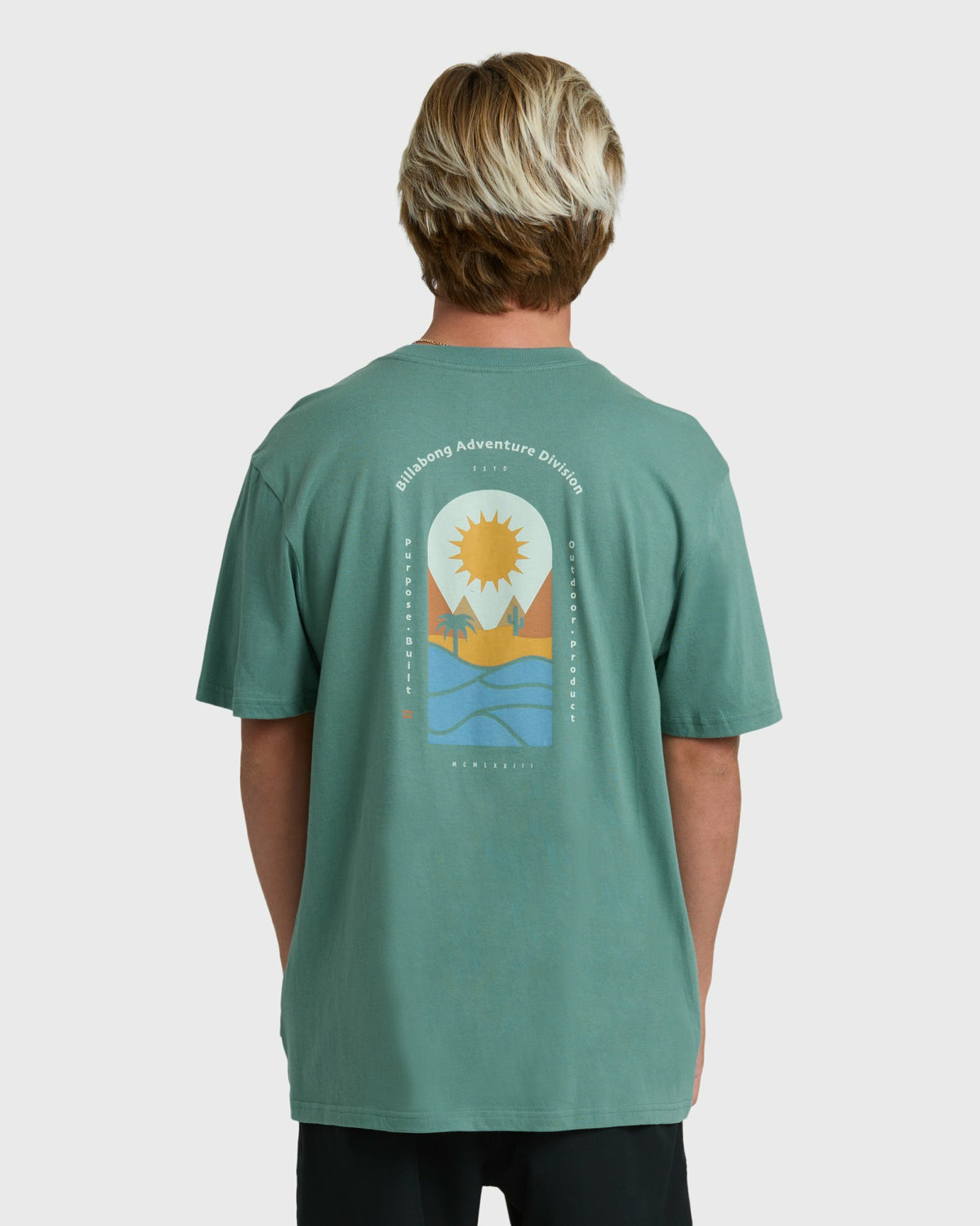 Billabong Men's Sun Down Adiv Premium Short Sleeve T-Shirt - Sea Green
