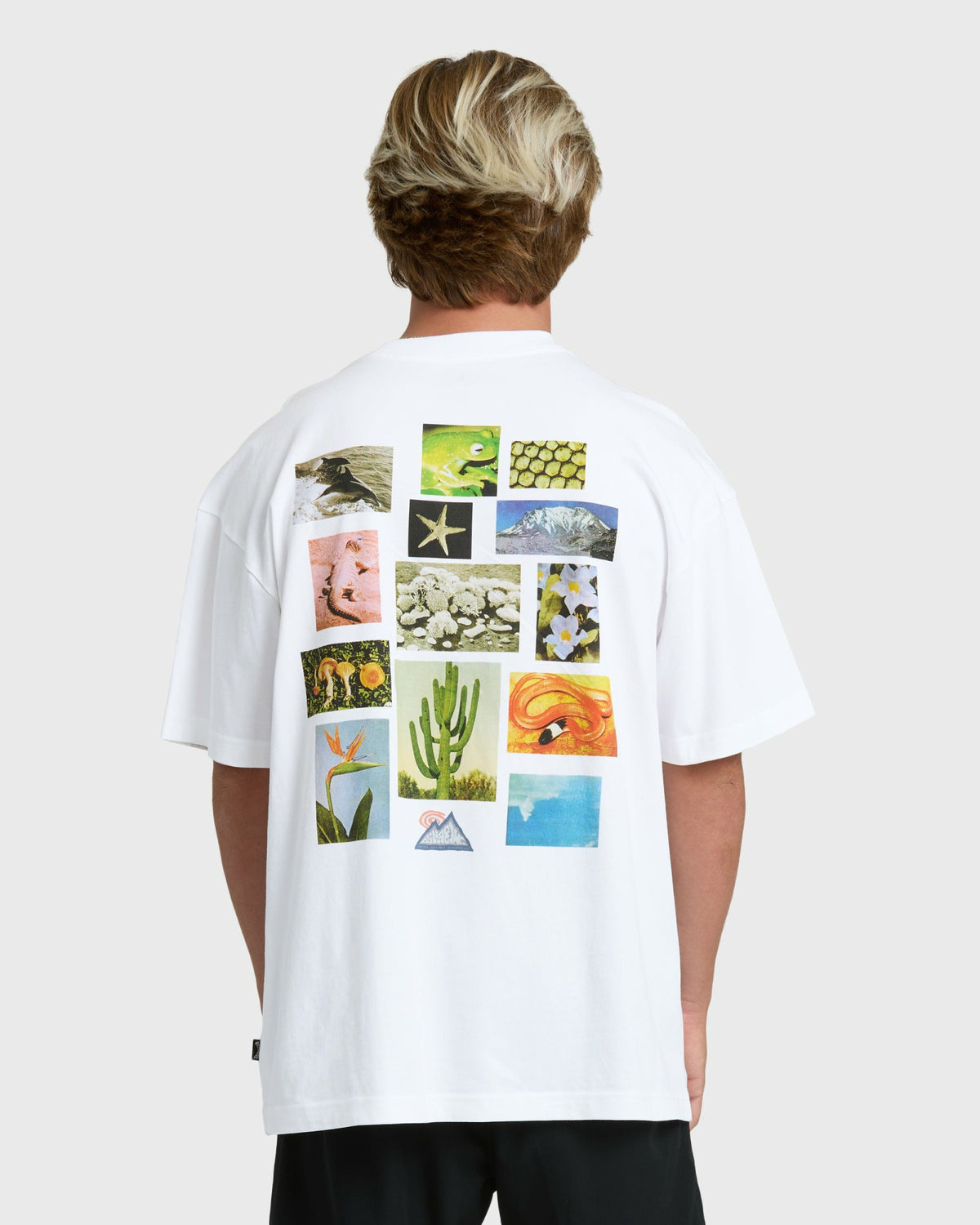 Billabong Men's Moments Adiv Og Short Sleeve T-Shirt - White