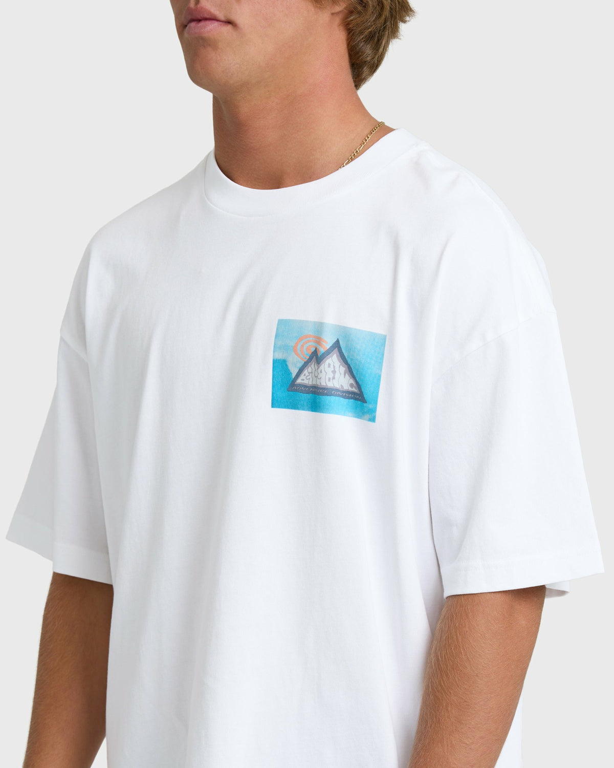 Billabong Men's Moments Adiv Og Short Sleeve T-Shirt - White