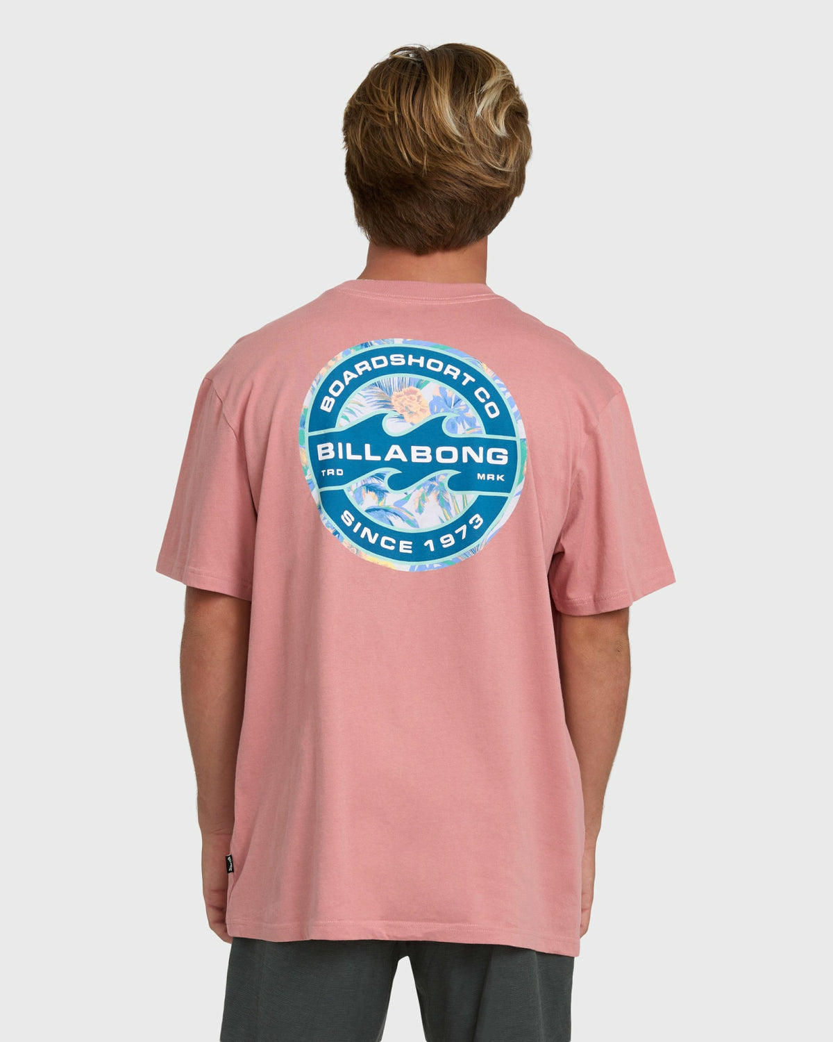 Billabong Men's Hollow Fill Premium Short Sleeve T-Shirt - Ash Rose