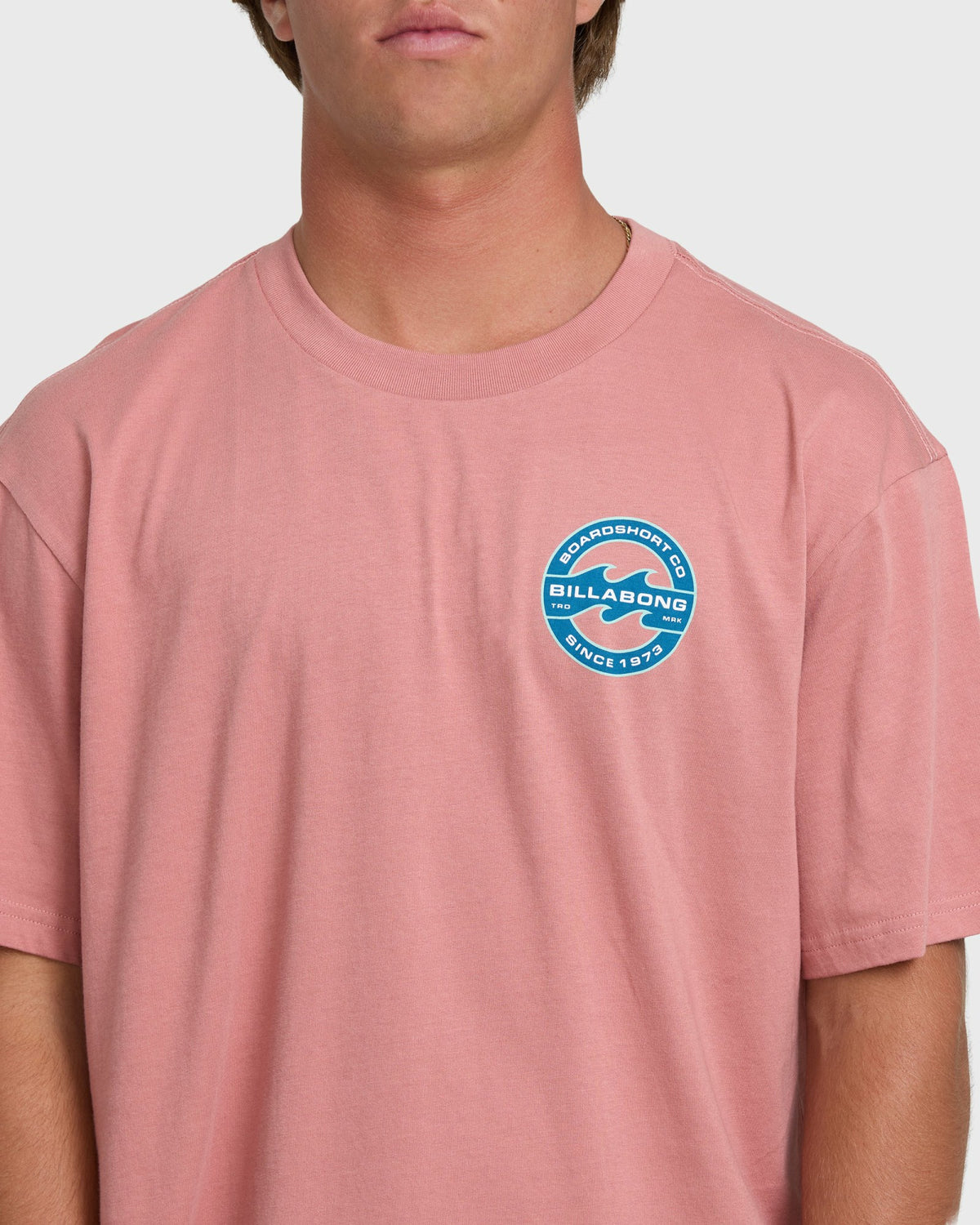 Billabong Men's Hollow Fill Premium Short Sleeve T-Shirt - Ash Rose