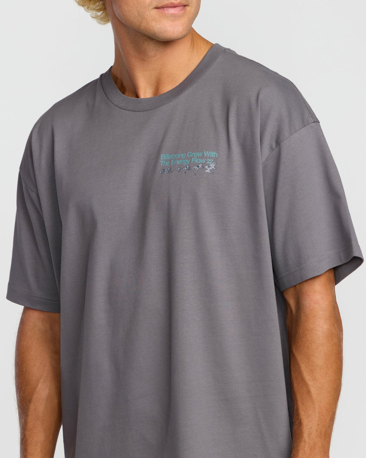 Billabong Men's Grow OG A\/Div Short Sleeve T-Shirt - Grey Violet