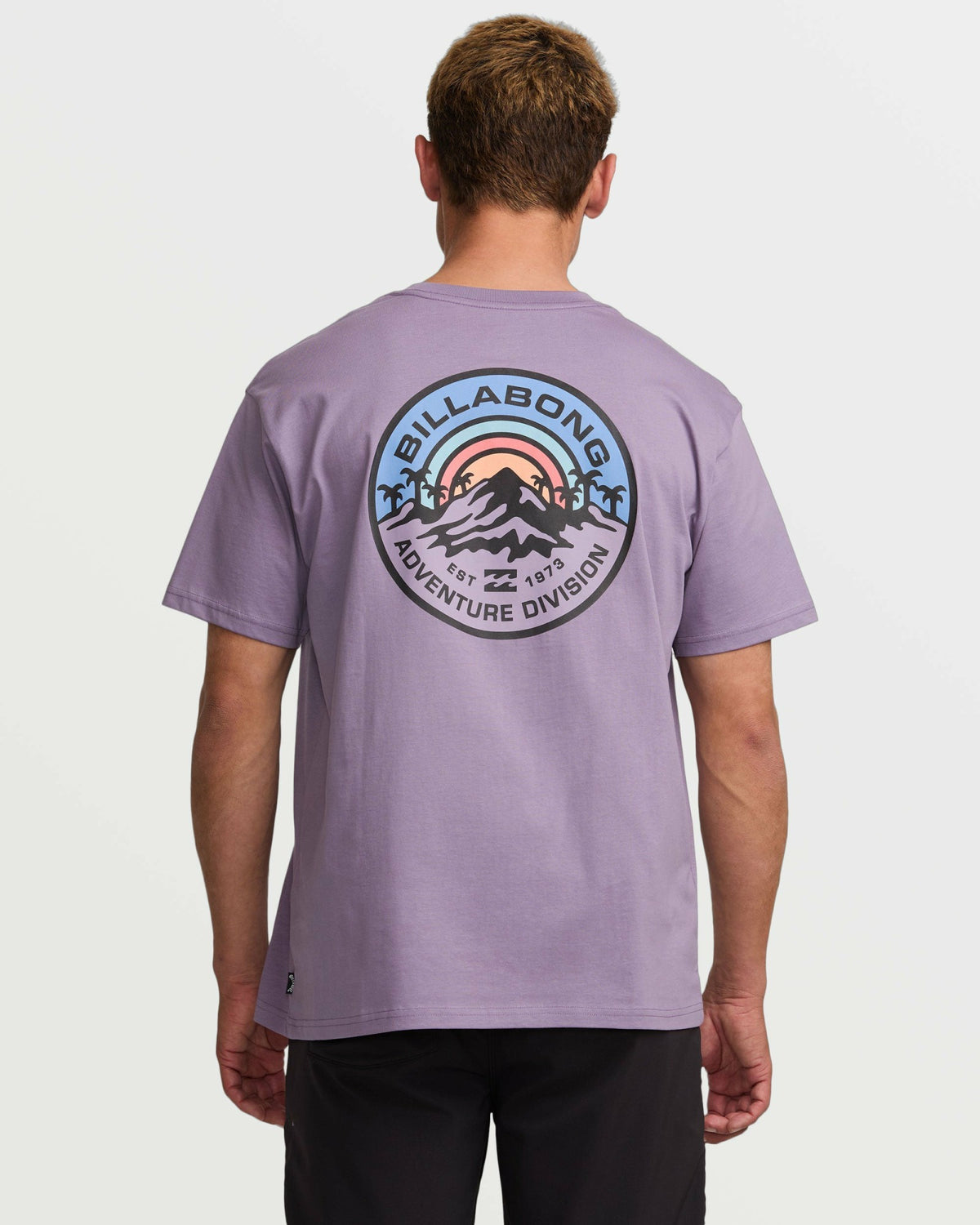 Billabong Men's Rockies A\/Div Tee - Lavender