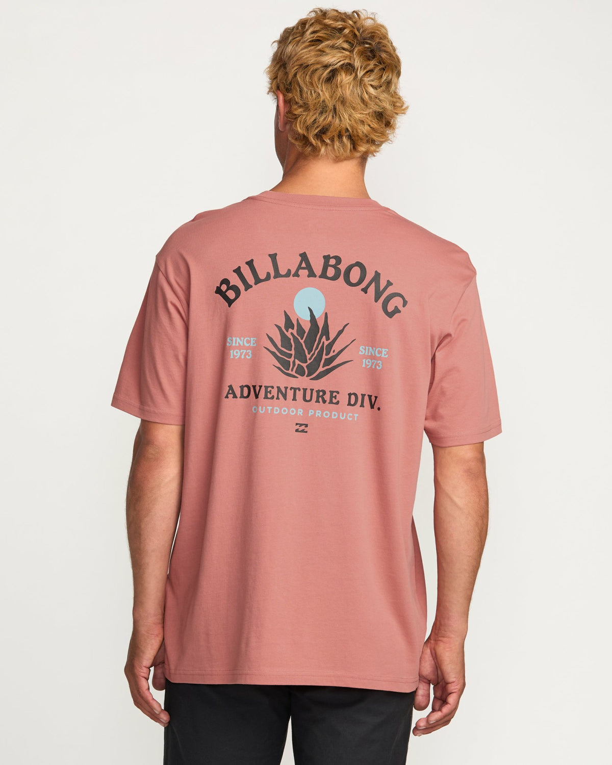 Billabong Men's A\/Div Agave Tee - Dusty Rose