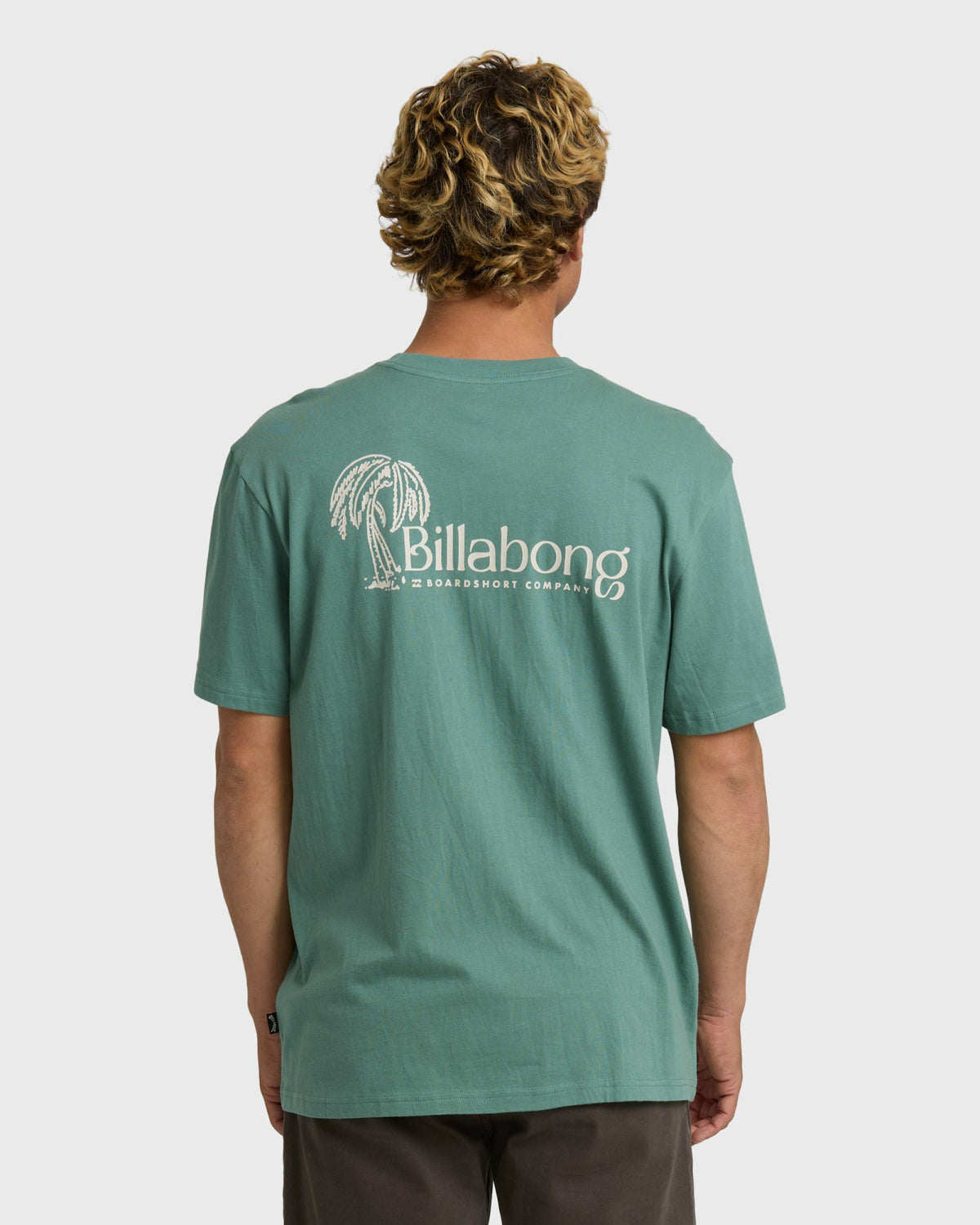 Billabong Men's Late Checkout Premium Short Sleeve T-Shirt - Sea Green