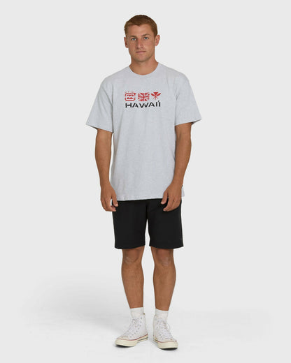 Billabong Men's Kahili Hawaii Regular Short Sleeve Tee - Heather Gray