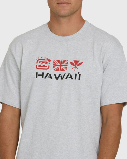Billabong Men's Kahili Hawaii Regular Short Sleeve Tee - Heather Gray
