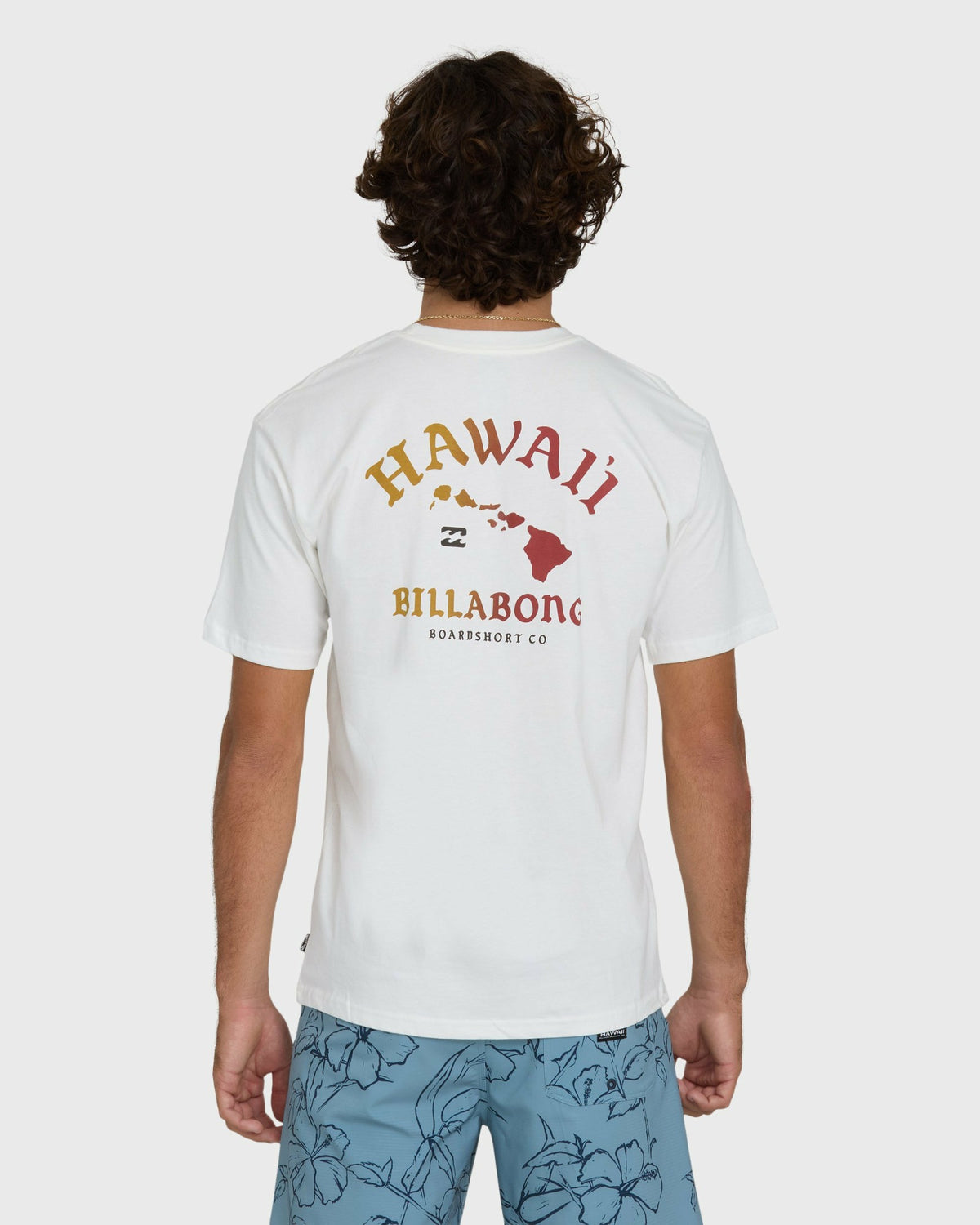 Billabong Men's Island Chain Hawaii Regular Short Sleeve Tee - Off White