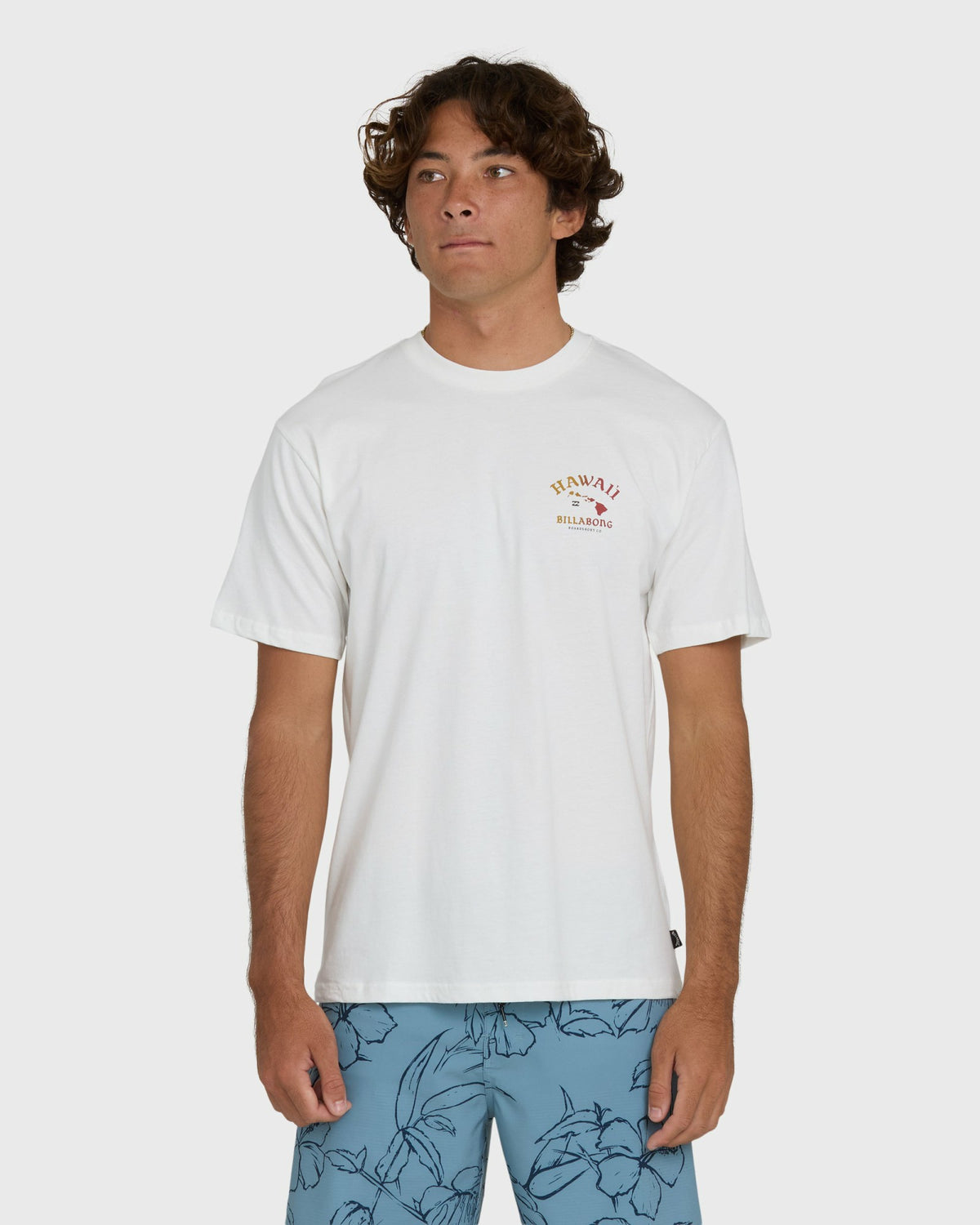 Billabong Men's Island Chain Hawaii Regular Short Sleeve Tee - Off White