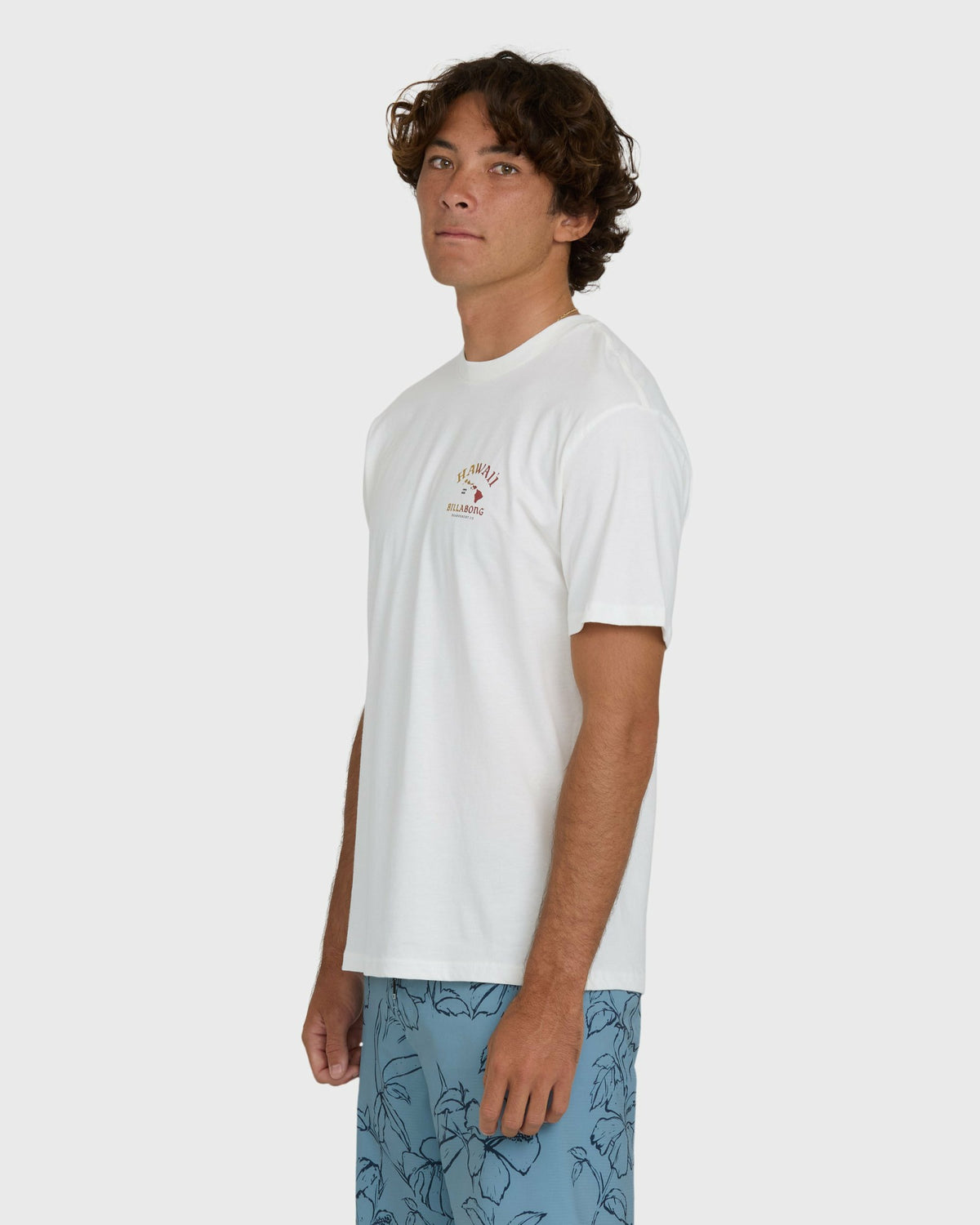 Billabong Men's Island Chain Hawaii Regular Short Sleeve Tee - Off White