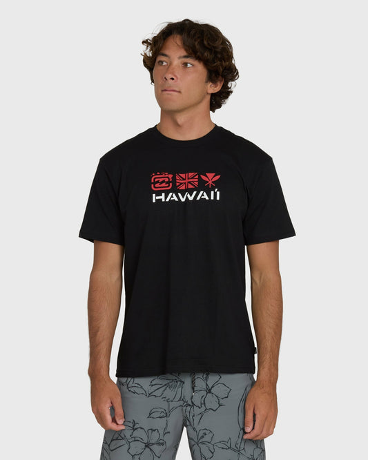 Billabong Men's Kahili Hawaii Regular Short Sleeve Tee - Black