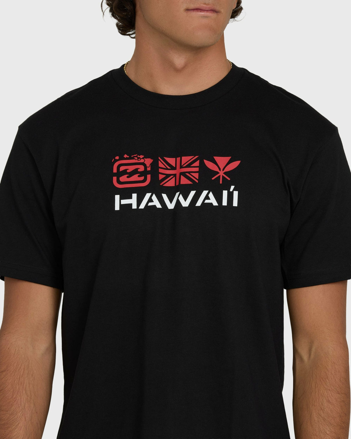 Billabong Men's Kahili Hawaii Regular Short Sleeve Tee - Black