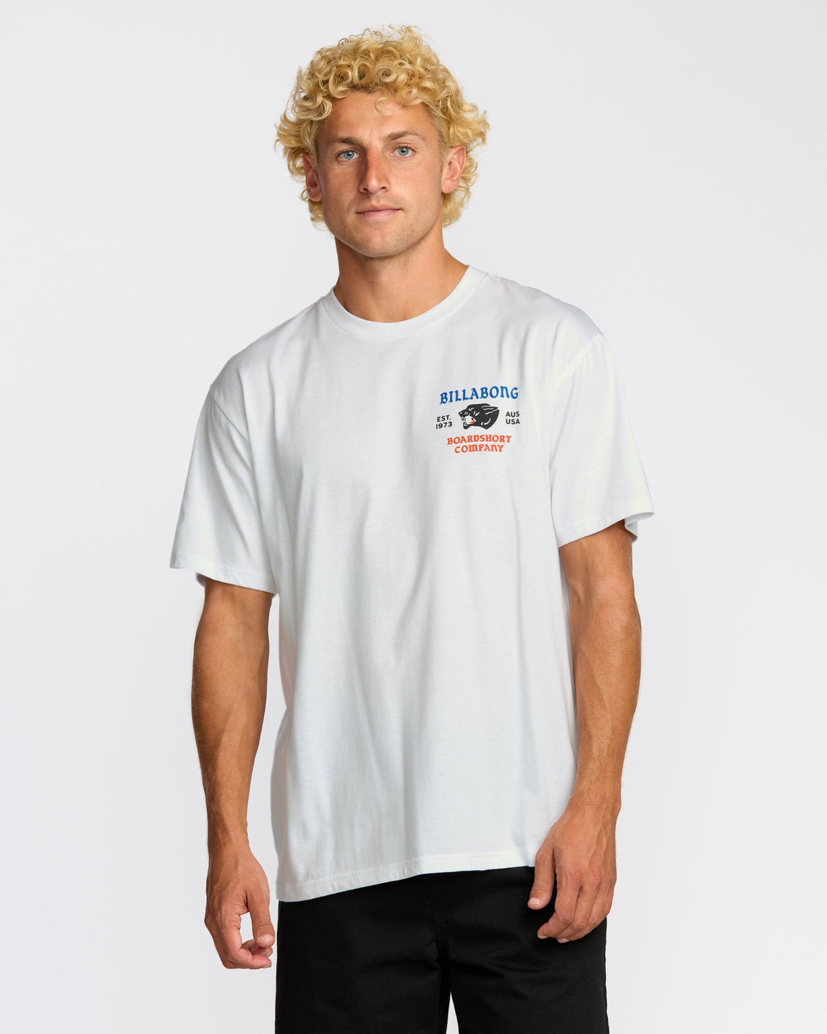 Billabong Men's Formidable Regular Short Sleeve T-Shirt - White