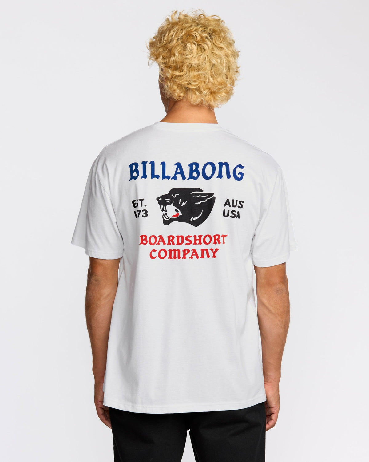 Billabong Men's Formidable Regular Short Sleeve T-Shirt - White